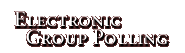 Electronic Group Polling